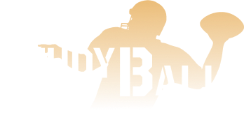 StudyBall series logo